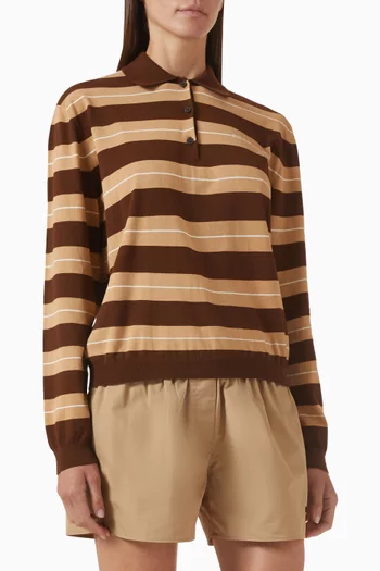 Striped Knit Polo Shirt in Cotton