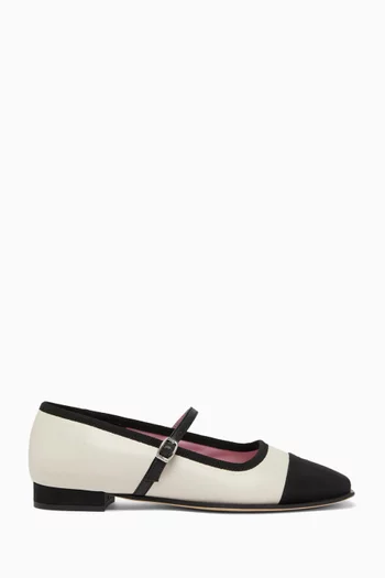 Gisele Ballet Flats in Leather
