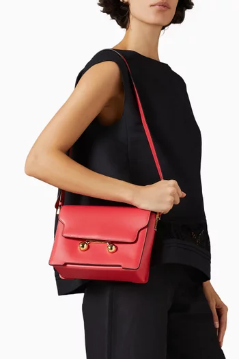 Medium Trunkaroo Shoulder Bag in Calfskin Leather