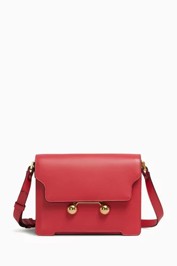 Medium Trunkaroo Shoulder Bag in Calfskin Leather