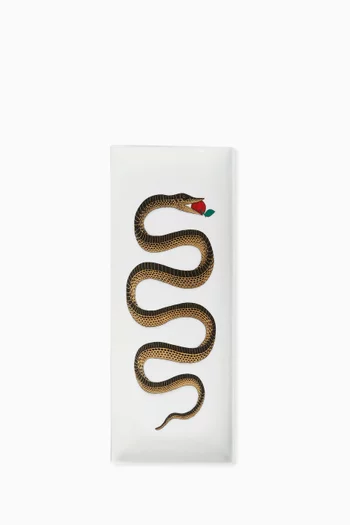 Snake Tray in Porcelain