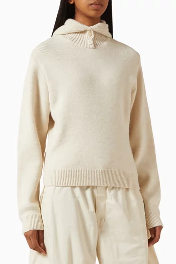 Hooded Sweater in Knit