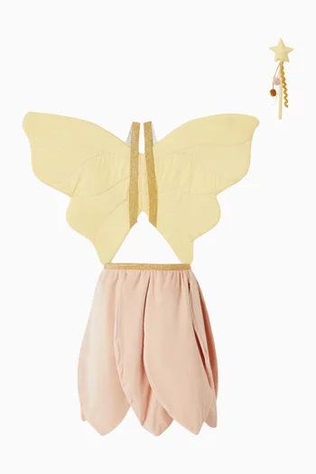 Fairy Dress-up Set