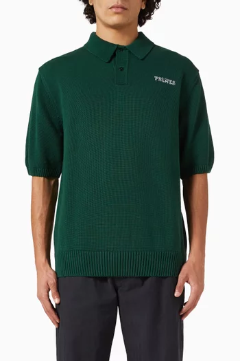 Polo Shirt in Cotton Knit