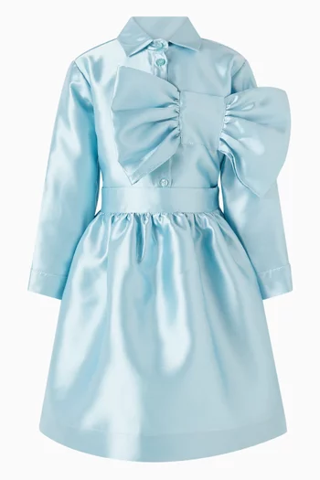 Glossy Flared Skirt