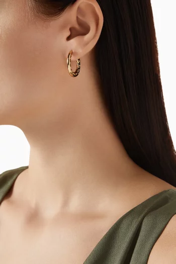 Small C Hoop Earrings in Plated Brass