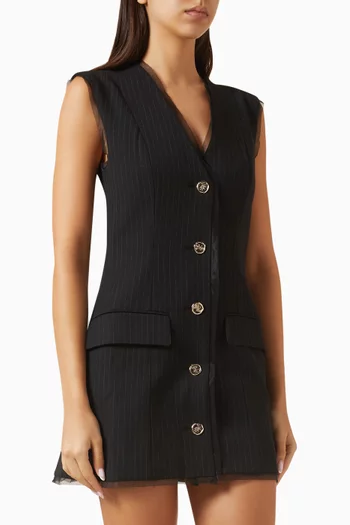Raxona Pinstripe Dress