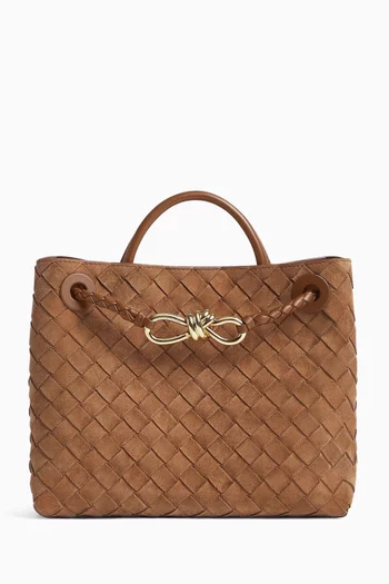 Small Andiamo Top-handle Bag in Intrecciato Suede