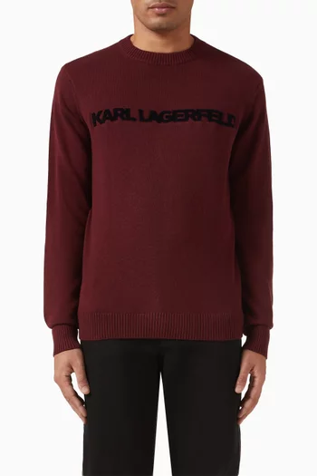 Logo Sweatshirt in Cotton-cashmere