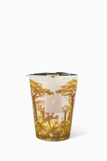 Sacred Trees Bounkani Scented Candle Max 24