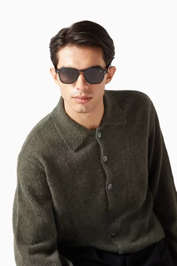 Brixton Sunglasses in Acetate