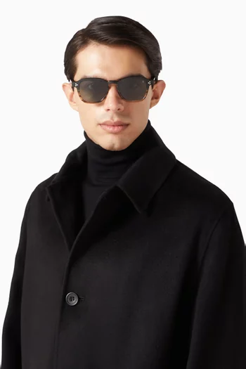 Brixton Sunglasses in Acetate