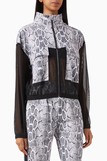 جاكيت ايلوجن