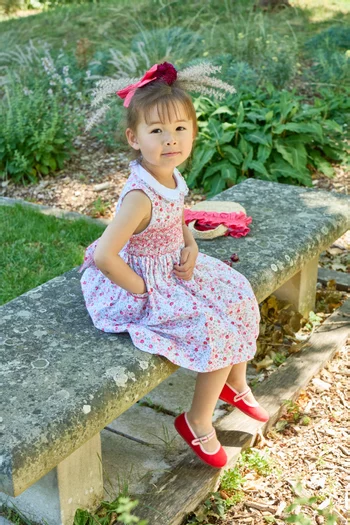 Ixia Smocked Dress in Cotton