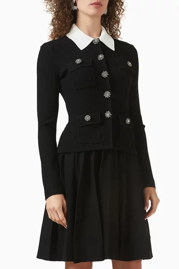 Lace Collar Tailored Mini Dress in Knit