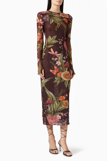 Robin Printed Dress in Mesh