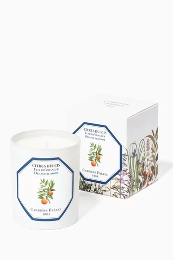 Citrus Dulcis Scented Candle, 185g
