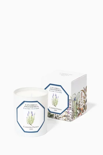 Lavandula Angustifolia Scented Candle, 185g