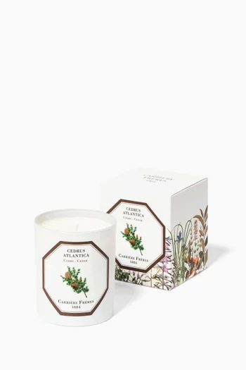 Cedrus Atlantica Scented Candle, 185g