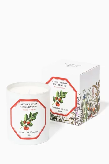 Lycopersicon Esculentum Scented Candle, 185g