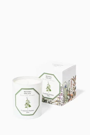 Mentha Spicata Scented Candle, 185g