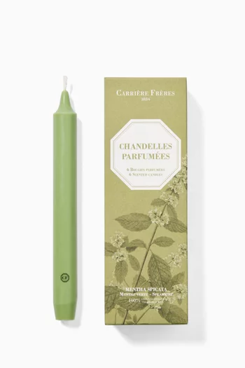 Mentha Spicata Scented Taper Candles, Set of 6