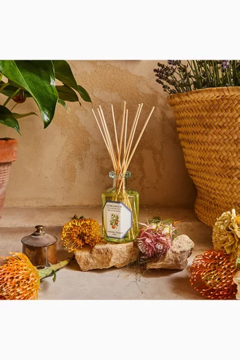 Citrus Dulcis Diffuser, 200ml