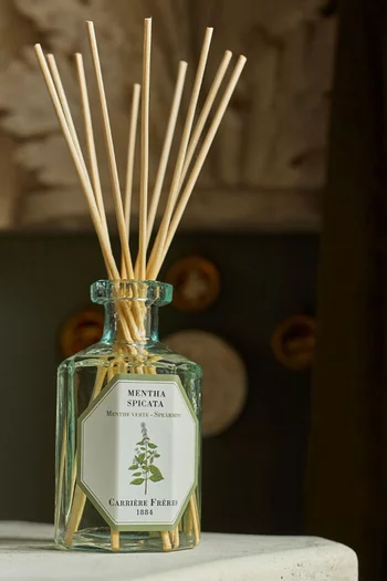 Mentha Spicata Diffuser, 200ml