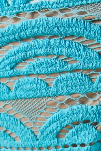 Lace Fanned Bikini Briefs