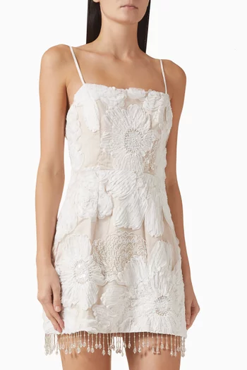 Roxana Mini Dress in Mesh