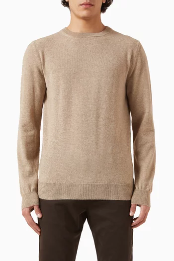Crewneck Sweater in Cashmere