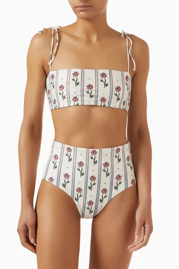 Magenta Quebrada Bikini Briefs