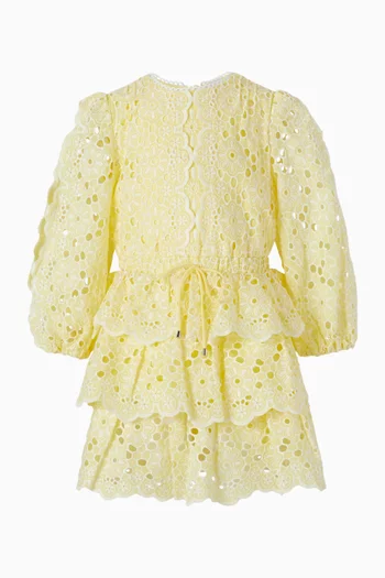 Skyla Embroidered Mini Dress