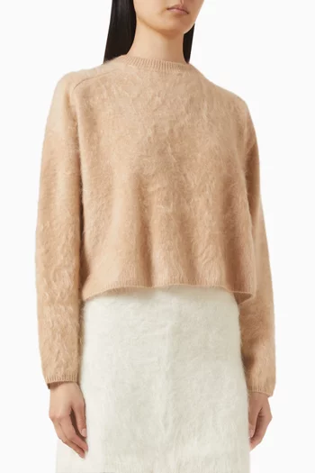 Crewneck Sweater in Brushed Cashmere