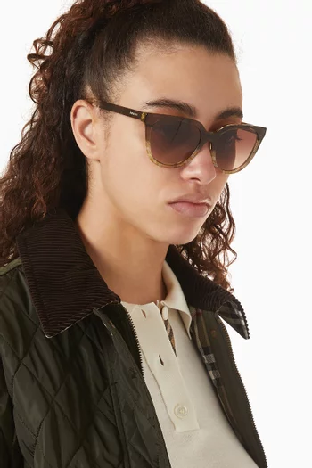 D-frame Sunglasses in Acetate