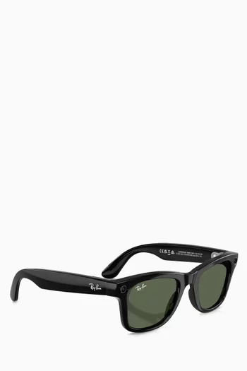 Meta Wayfarer Sunglasses in Acetate