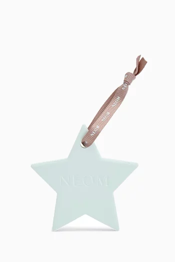 Ceramic Star Natural Diffuser