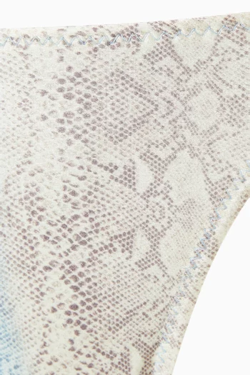 Divine Bikini Briefs in Stretch Nylon