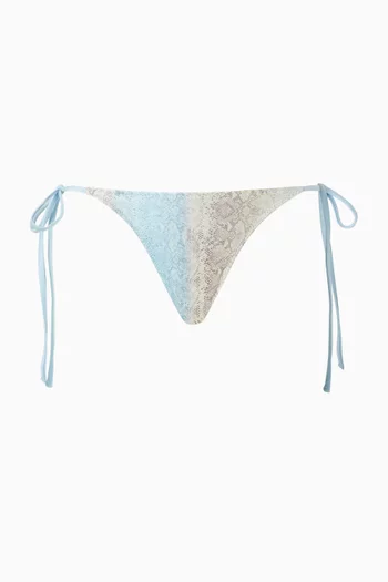 Divine Bikini Briefs in Stretch Nylon