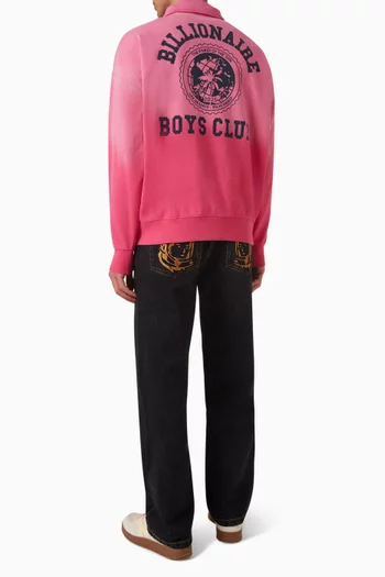 World College Washed Quarter Zip Sweatshirt in Cotton