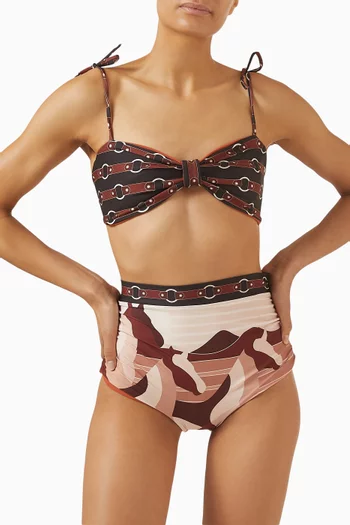 Olinda Bikini Briefs