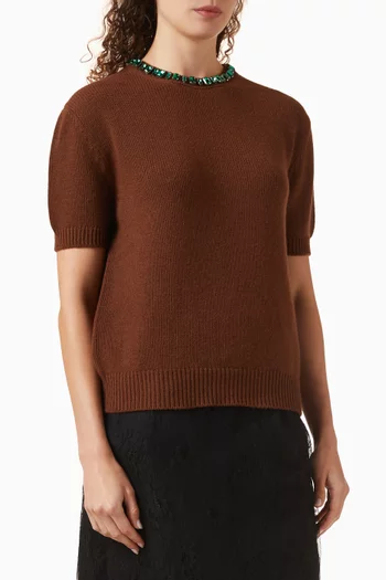 Embellished Sweater in Virgin Wool Blend
