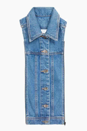 فيست ديكي سليت دينم