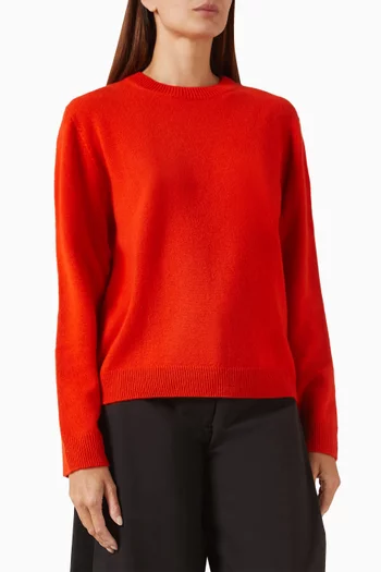 Crewneck Knit Sweater