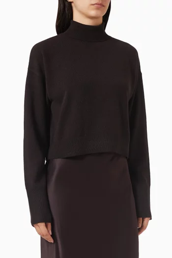 Sable Turtleneck Sweater in Cashmere