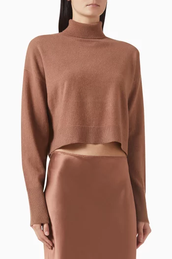 Sable Turtleneck Sweater in Cashmere