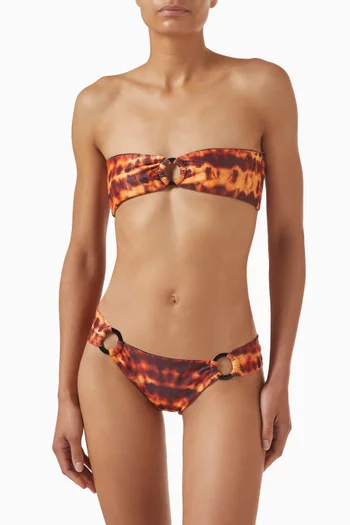 Polly Bikini Briefs