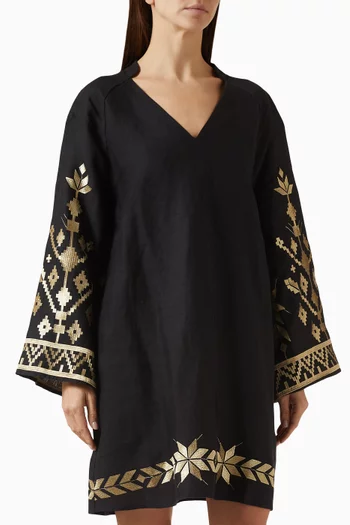 Embroidered Mini Dress