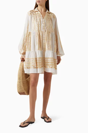 Embroidered Mini Dress