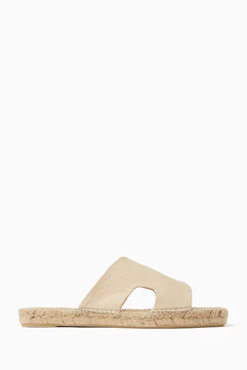 Priya Slides in Canvas